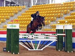 Chris in Silver Tour Tamworth 2019